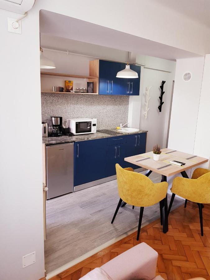 Cluj Central Square 2 Rooms Apartment エクステリア 写真