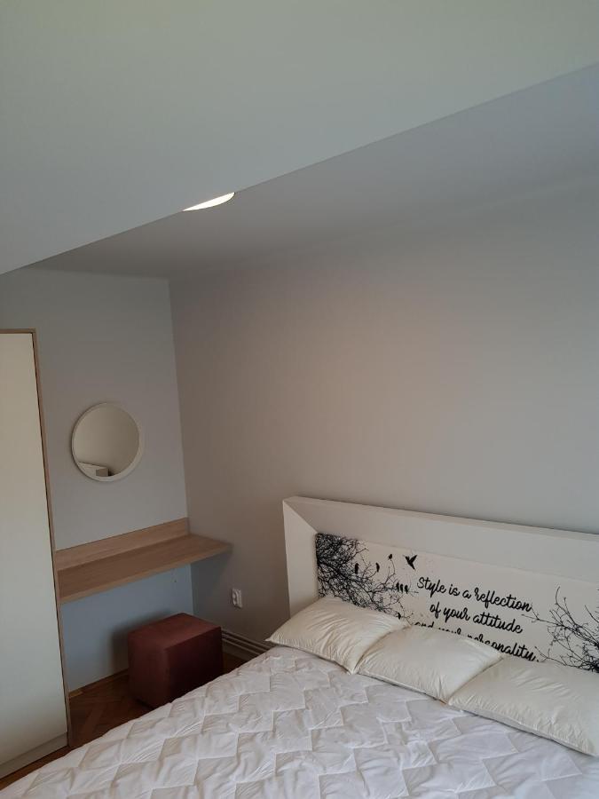 Cluj Central Square 2 Rooms Apartment エクステリア 写真